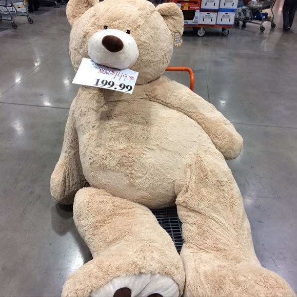 Meet your Posher, Mandy - Picture 1 of 1